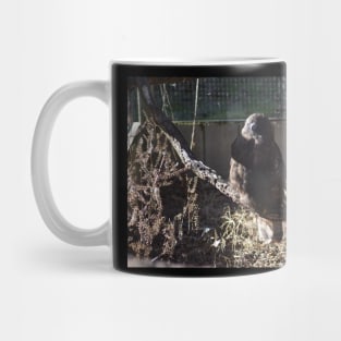 Hawk Mug